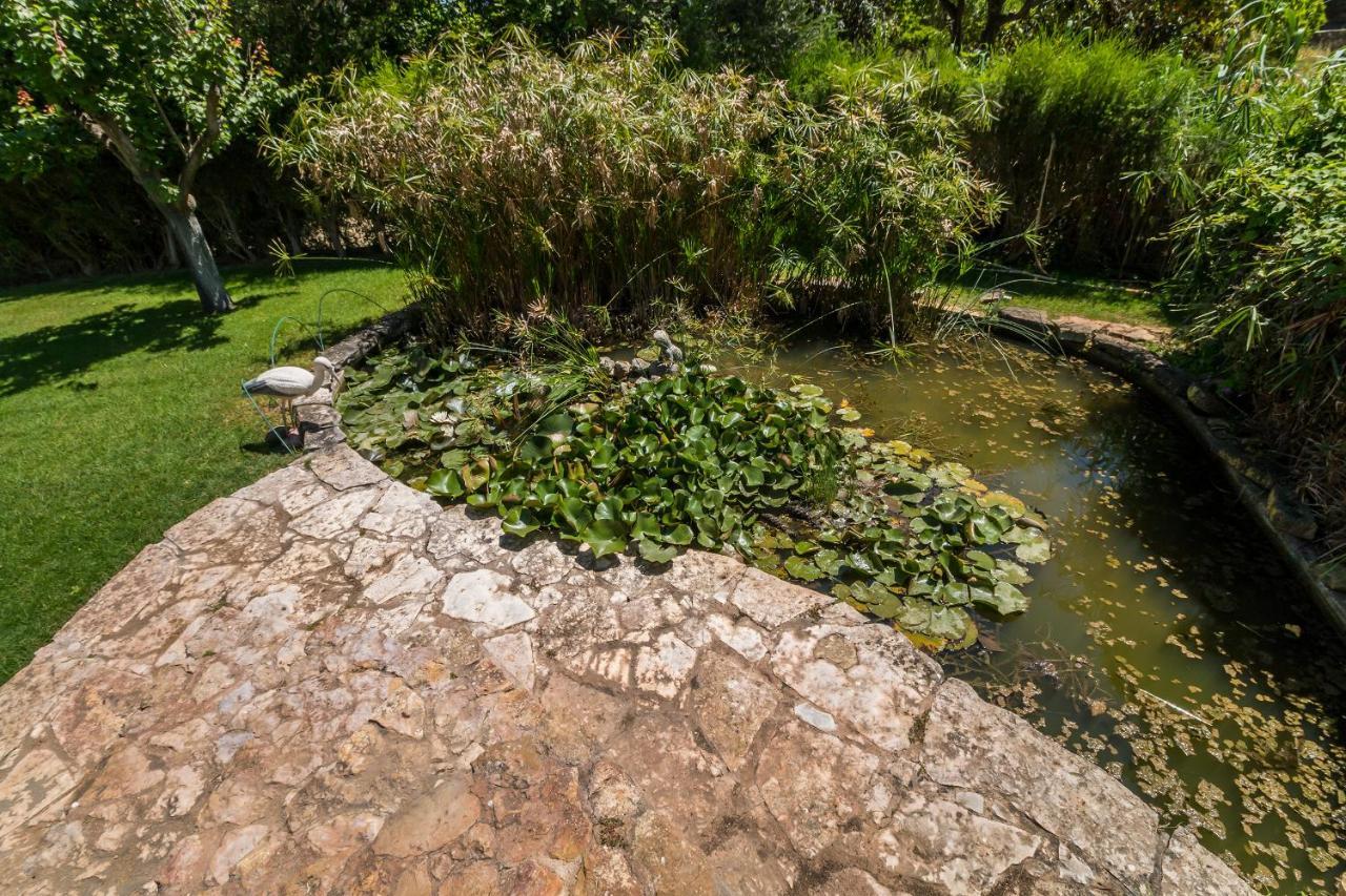 Апартаменты Quinta Das Portelas Лагуш Экстерьер фото